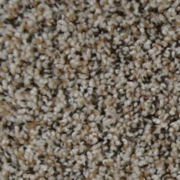 TrafficMaster Watercolors I - Briar Patch - Brown 28.8 oz. Polyester  Texture Installed Carpet HDD9547792 - The Home Depot