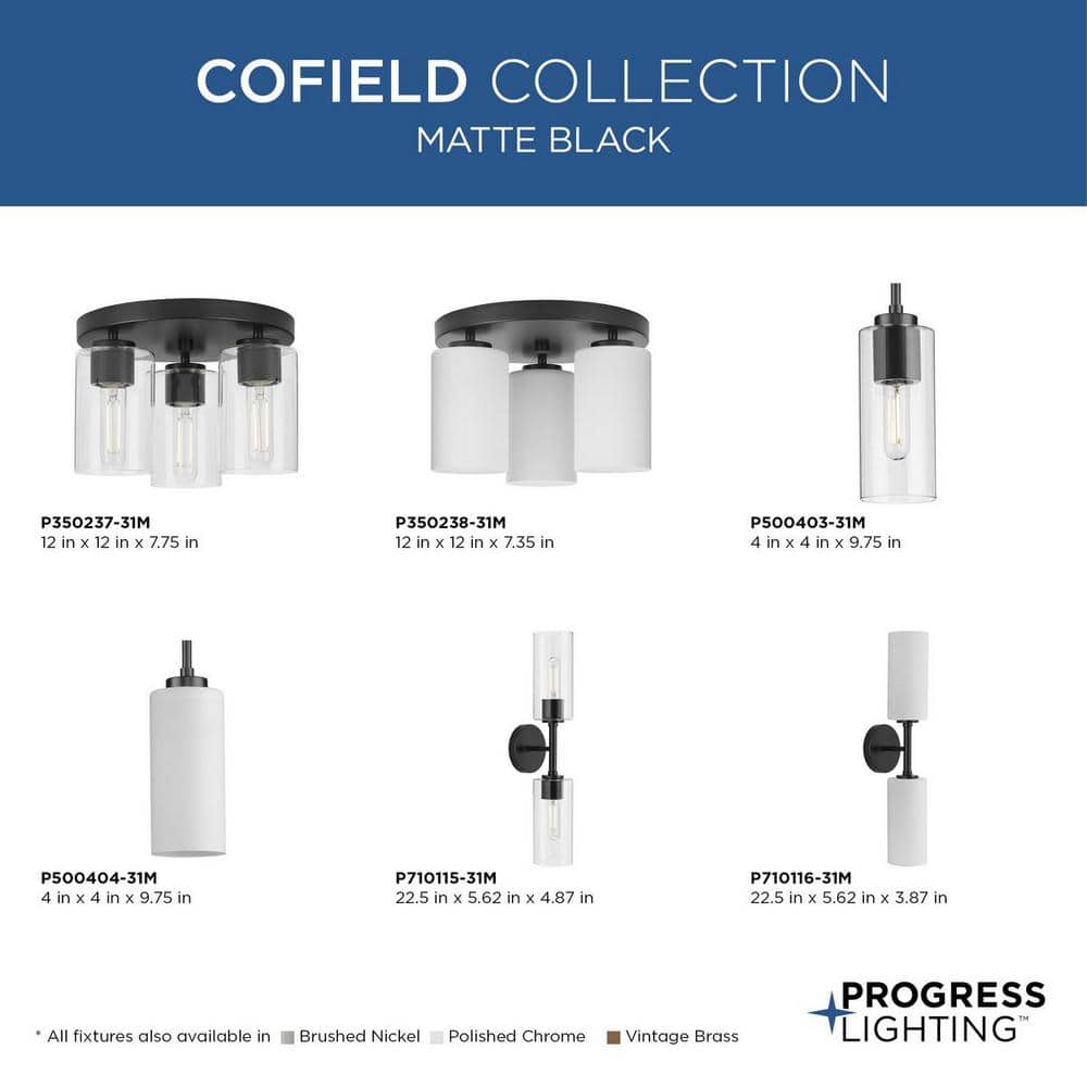 Matte Black 3-Light Flush Mount with Clear Glass Shades