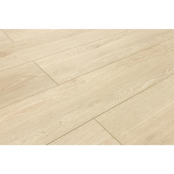 パンデイロ コンテンポラネア CONTEMPORÁNEA PDMM095LCT パンデイロ コンテンポラネア CONTEMPORÁNEA PDMM095LCT pasentel