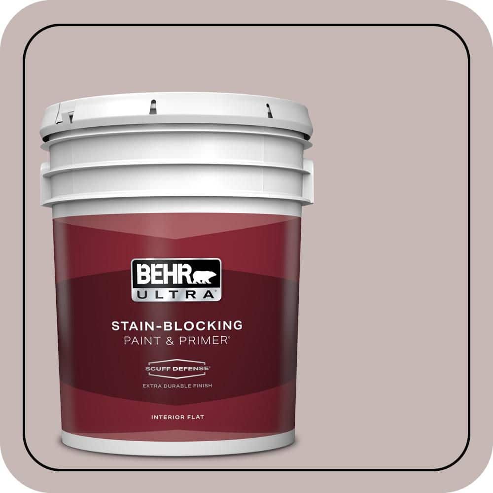 5 gal. Home Decorators Collection #HDC-CL-25G Georgian Pink Extra Durable Flat Interior Paint & Primer price history on PriceWatchPro