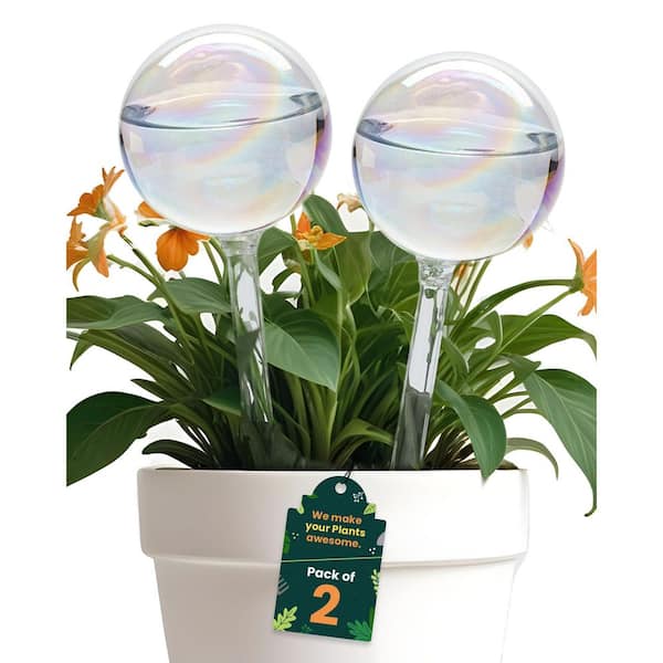 2-Pack Iridescent Glass Self Watering Globes Rainbow Round Indoor Plant  Watering Bulbs HY1028-8 - The Home Depot