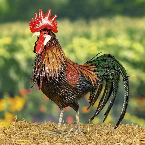 Zaer Ltd. International 29 in. Tall Iron Painted Rooster