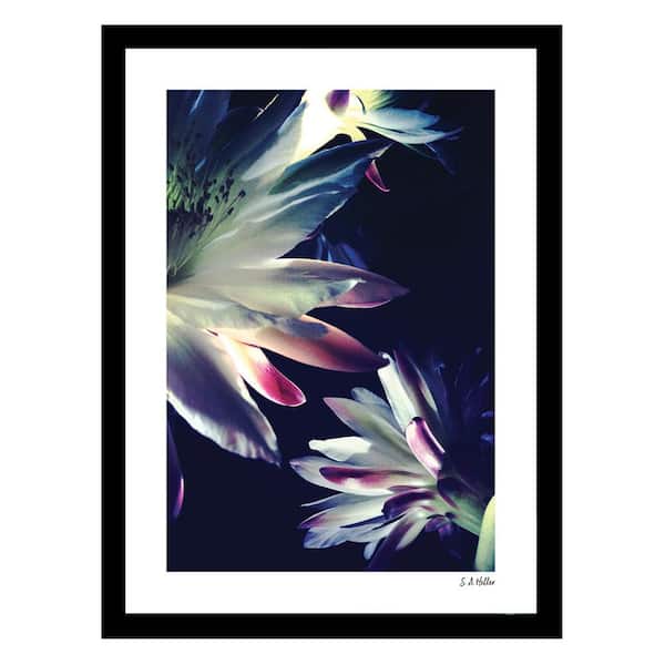 VENICE BEACH Collections Heller Photography Blossoms Touch Framed Printed Photograph by Steven A Heller Nature Poster Art Print 18 in. x 14 in.