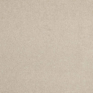 Phenomenal I  - Griffin - Brown 48.3 oz. Triexta Texture Installed Carpet