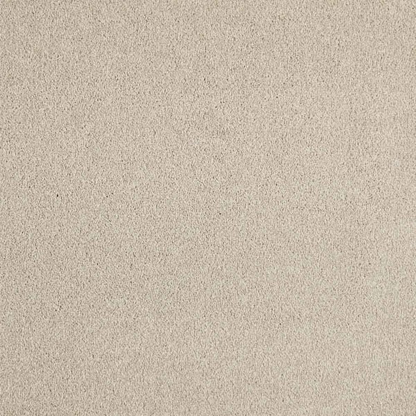 Lifeproof Phenomenal II  - Griffin - Brown 62.7 oz. Triexta Texture Installed Carpet