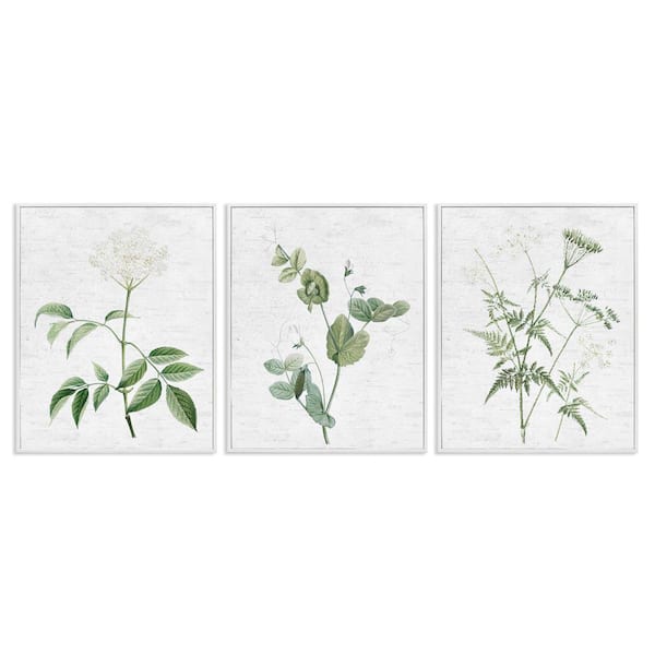 Soft White Botanicals by Lettered and Lined 3-Pieces White Framed Nature Giclee Art Print 30 in. x 24 in.