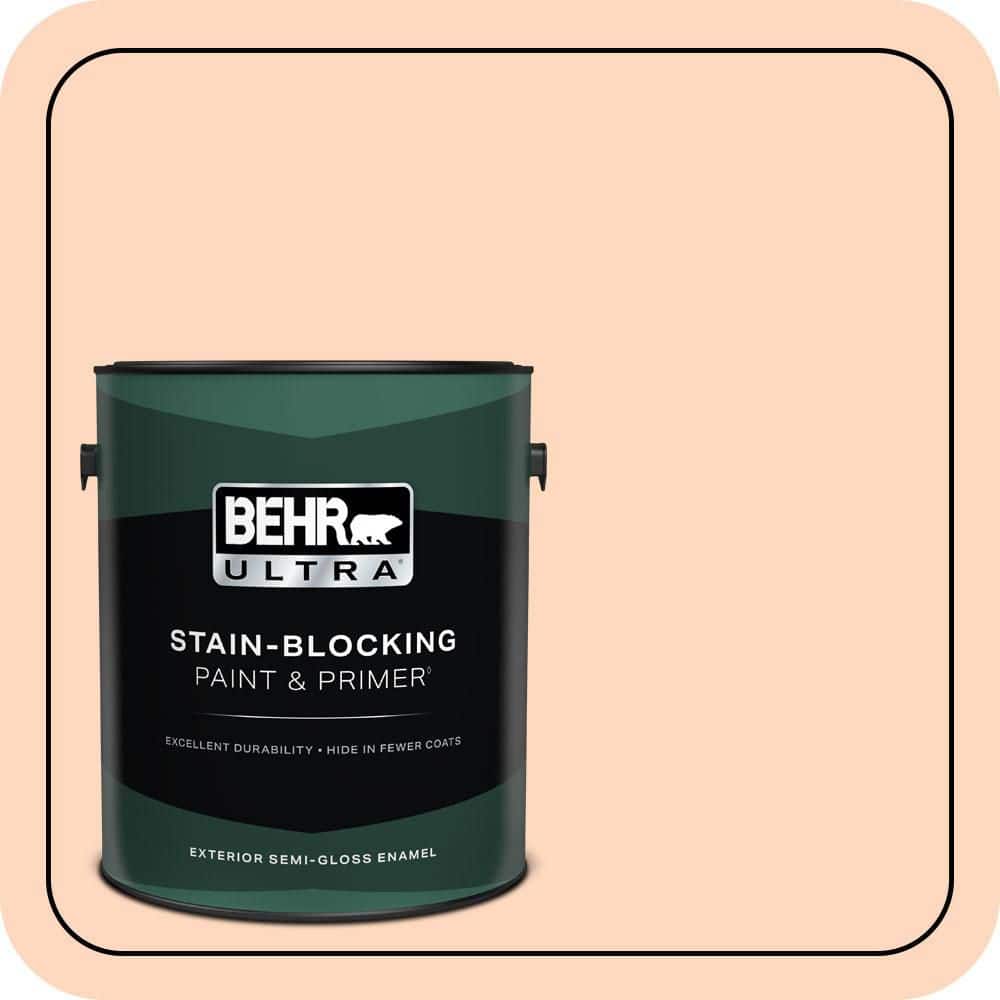 1 gal. #240A-2 Sunkissed Peach Semi-Gloss Enamel Exterior Paint & Primer price history on PriceWatchPro