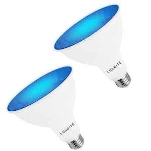 45-Watt Equivalent PAR38 LED Light Bulbs Flood Blue Light Bulb 8-Watt Damp Rated UL Listed E26 Indoor Outdoor (2-Pack)