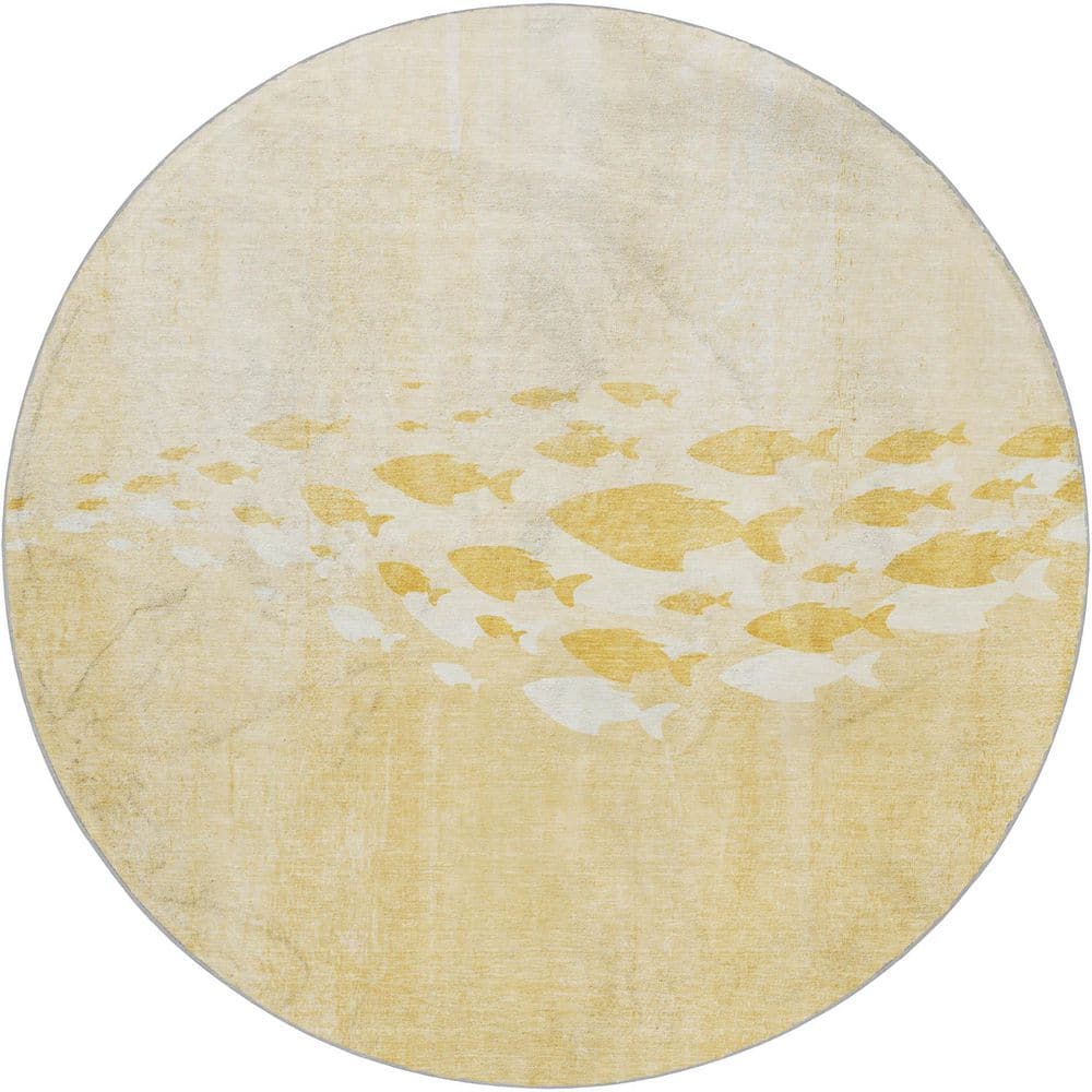 Dream Shag Premium Machine Washable Abstract ADS627 Gold 8 ft. x 8 ft. Round Rug price history on PriceWatchPro