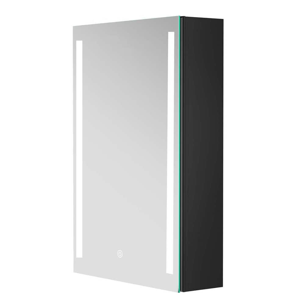 20 in. W x 30 in. H Black Aluminum Surface Mount Medicine Cabinet with Mirr