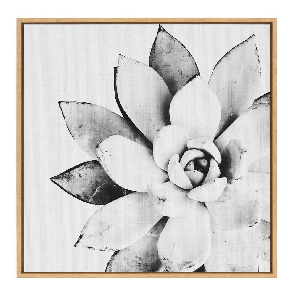 Modern Black and White Succulent Canvas Print with Natural Frame