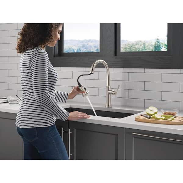 Eldridge Single Handle Pull Down Sprayer Kitchen Faucet in Stainless