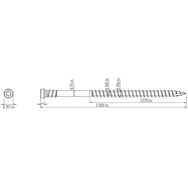 #8 x 2-1/2 in. Star Drive Composite Trim Head Screw (100-per Pack)