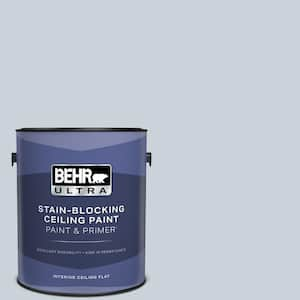 1 gal. #N480-1 Light Drizzle Ceiling Flat Interior Paint with Primer