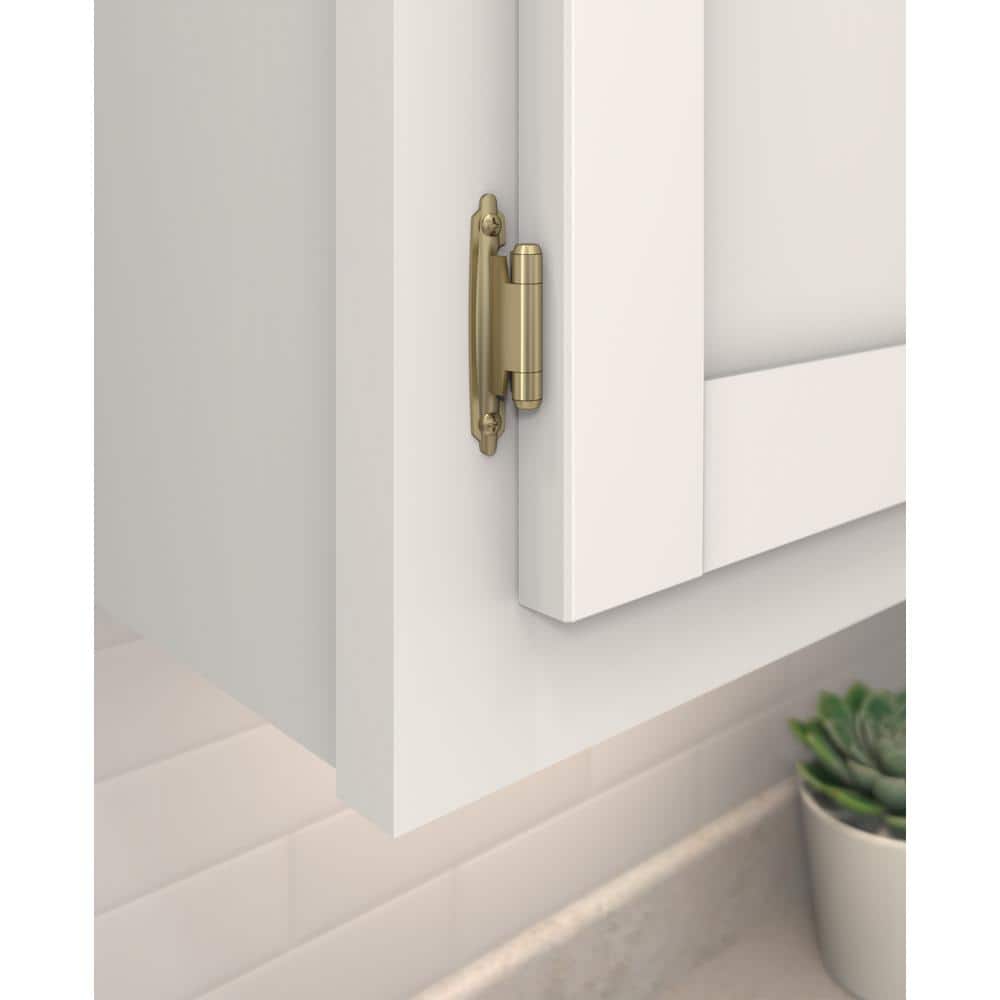 Golden Champagne Steel Self-Closing Cabinet Hinge