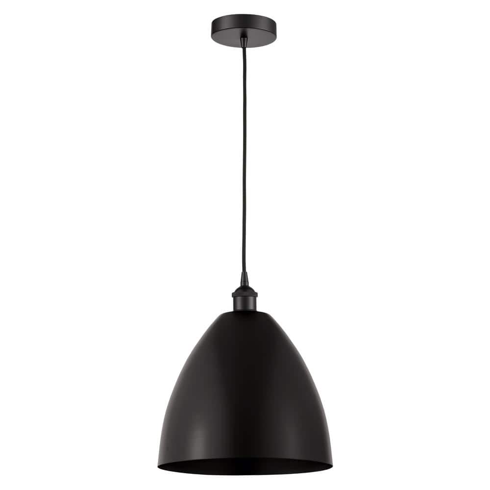 Edison Dome 100-Watt 1-Light Matte Black Standard Mini Pendant Light with Metal Shade price history on PriceWatchPro