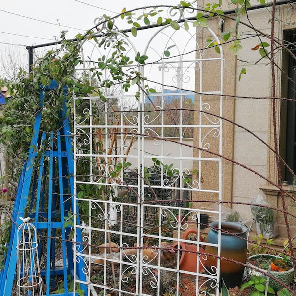 2-Pack 86.7 in. Height Metal Garden Rustproof Trellis Outdoor Flower Support for Climbing Plants in White