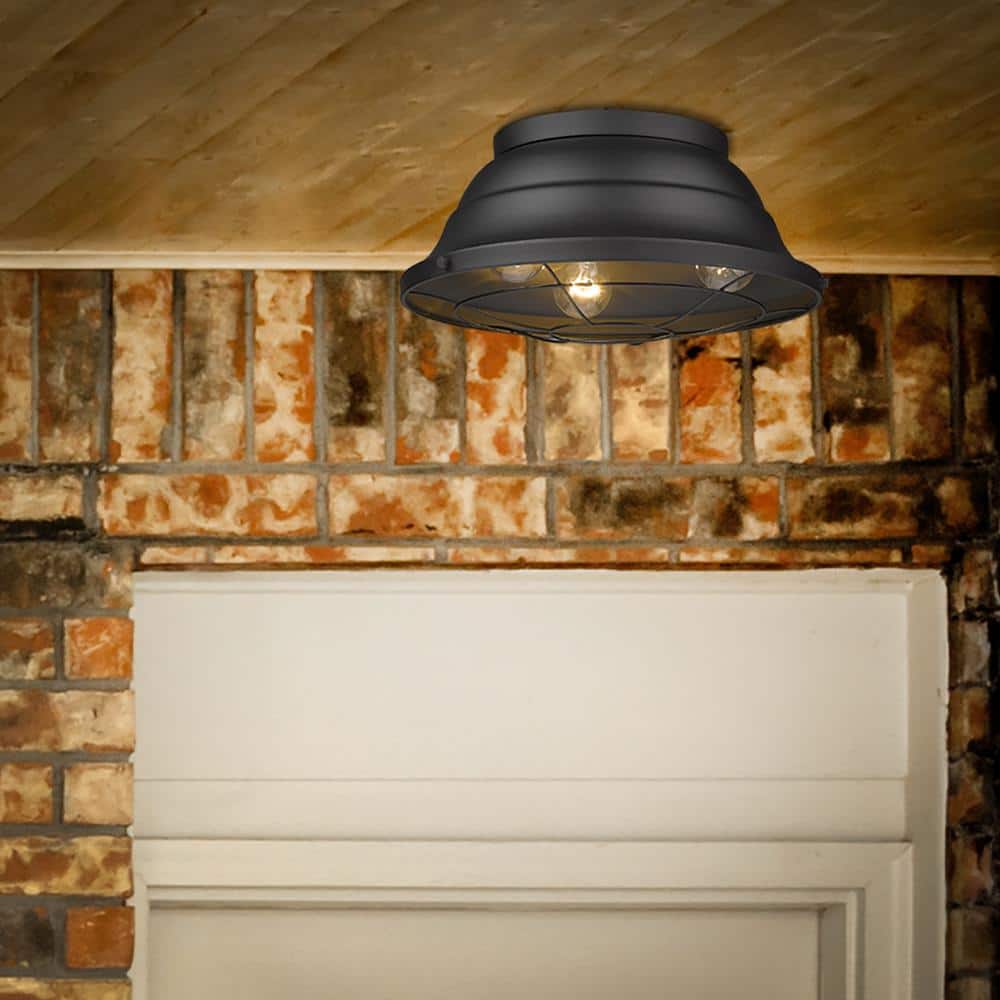 Natural Black Aluminum Indoor/Outdoor Flush Mount Light