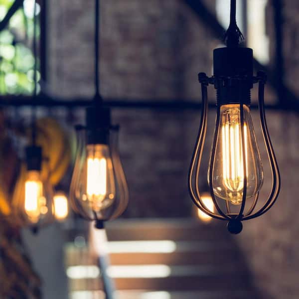 60-Watt Equivalent ST19 Dimmable Cage Filament Clear Glass E26 Vintage Edison LED Light Bulb, Warm White