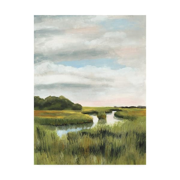 Trademark Fine Art Naomi Mccavitt 'Marsh Landscapes I' Canvas Unframed Photography Wall Art 35 in. x 47 in