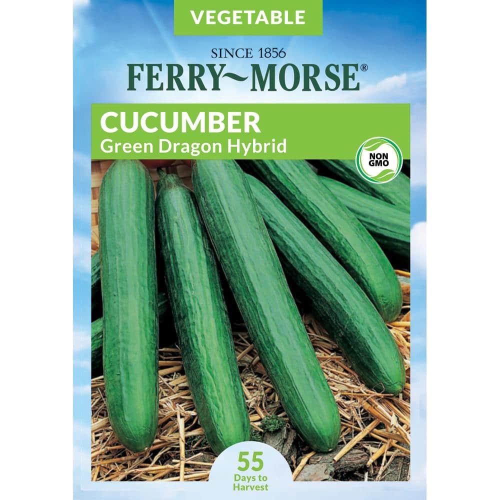 Ferry-Morse Cucumber Green Dragon Asian Fruit Seed 4101 - The Home
