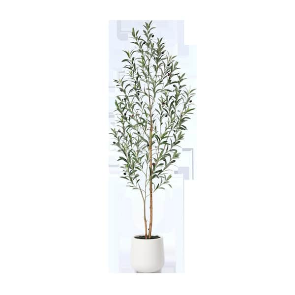 DR.Planzen 6 ft. Artificial Olive Tree with White Planter, Tall Faux Olive Trees with Natural Wood Trunk