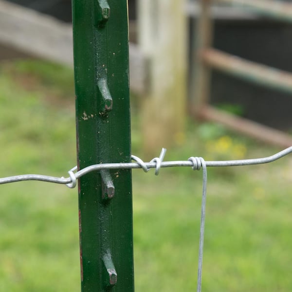 Everbilt 13/4 X 31/2 X Green Steel Fence TPost With