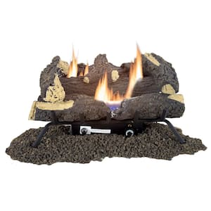 Wildwood 24 in. Vent-Free Dual Fuel Gas Fireplace Logs