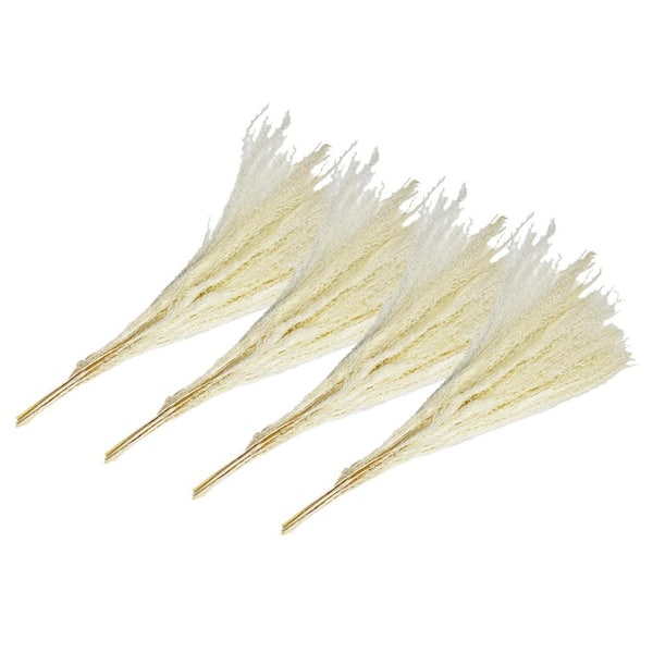 21 in. White Indoor Non Artificial Dried Preserved Buddha Dust-Pack of 4