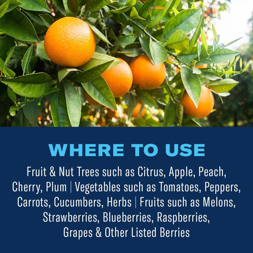 32 oz. Concentrated Outdoor Fruit and Citrus Tree Insect Killer