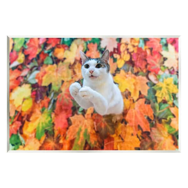Stupell Industries Cat in Autumn Leaf Pile by Kazutoshi Ono 1-Piece Unframed Graphic Print Animal Poster Art Print 19 in. x 13 in.