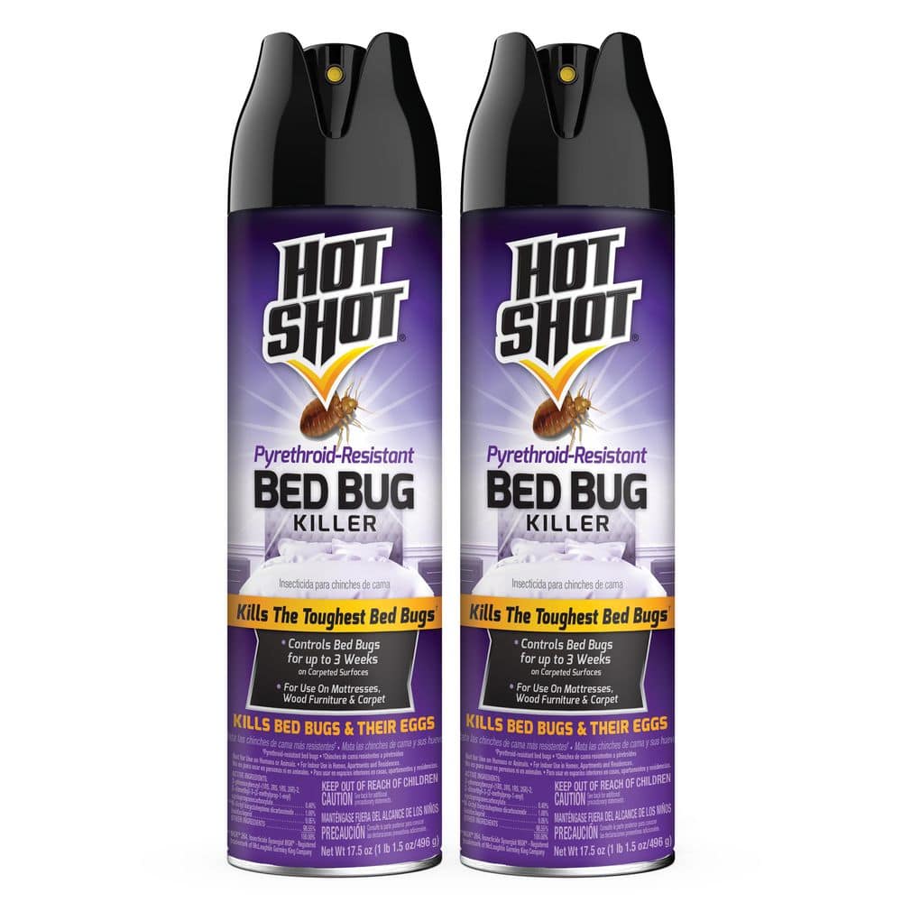 17.5 oz. Pyrethroid-Resistant Bed Bug Insect Killer Aerosol (2-Pack) price history on PriceWatchPro