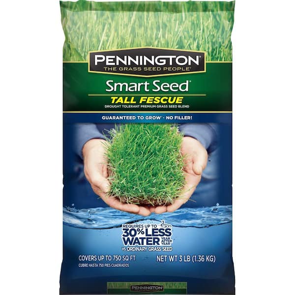 Pennington Smart Seed 3 lb. Tall Fescue Grass Seed