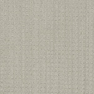 Dovetail - Tally - Beige 45 oz. SD Polyester Pattern Installed Carpet