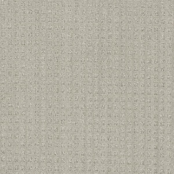 Dovetail - Tally - Beige 45 oz. SD Polyester Pattern Installed Carpet