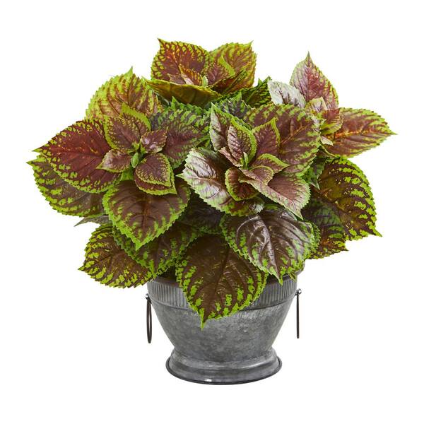 Nearly Natural Coleus Artificial Plant in Decorative Bowl (Real Touch)