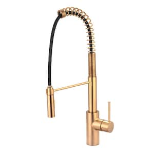 Motegi Single-Handle Pull-Down Sprayer Kitchen Faucet with Pre-Rinse Sprayer in Brushed Gold