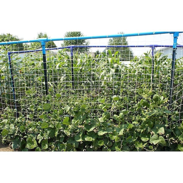 4200"L x 60"W White Nylon Soft Mesh Trellis Netting Roll Garden Plant Support Heavy-Duty Climbing Vine Accessory