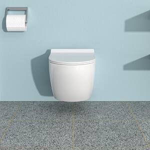 Wall Hung Elongated Toilet Bowl Only in White with Lid and Seat