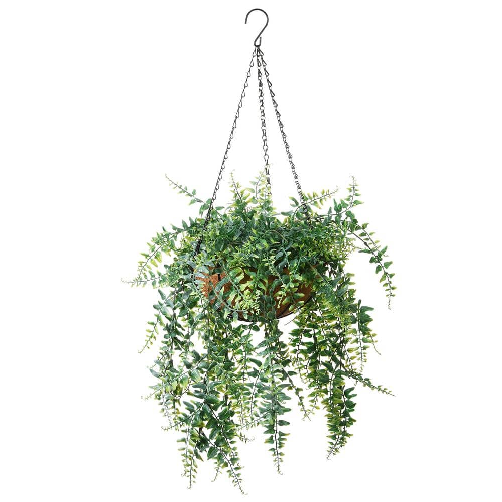 National Tree Company 21 in. Artificial Hanging Basket with Fern Leaves