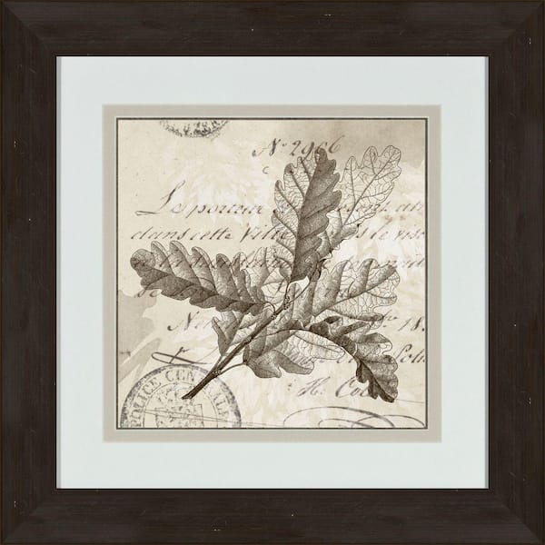 Unbranded 17 in. x 17 in. "Sophisticated Botany D" Framed Wall Art