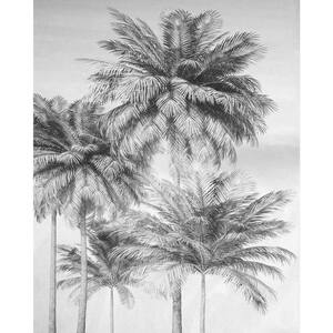 Overcast Palm Wall Mural