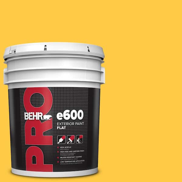 BEHR PRO 5 gal. #P290-6 English Daisy Flat Exterior Paint