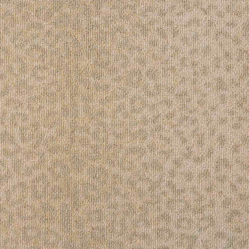 9 in. x 9 in. Pattern Carpet Sample - Safari - Color Savannah price history on PriceWatchPro