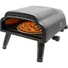 Portable Outdoor Propane Oven, Two Burner Stove Combo for Camping, RV,  Tailgating, Trailer