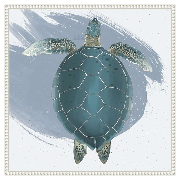 Amanti Art "Sea Turtle" by Lucca Sheppard 1-Piece Floater Frame Giclee Animal Canvas Art Print 22 in. x 22 in.