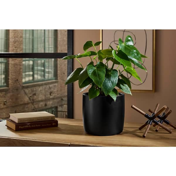8.3 in. x 8.3 in. D x 7.5 in. H Eliana Medium Black Ceramic Po