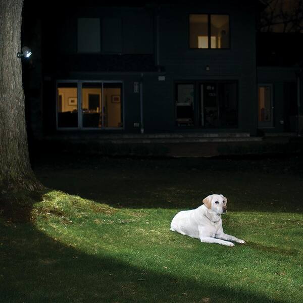 Mr Beams - Outdoor 140 Lumen Battery Powered Motion Activated Integrated LED Spotlight, Brown