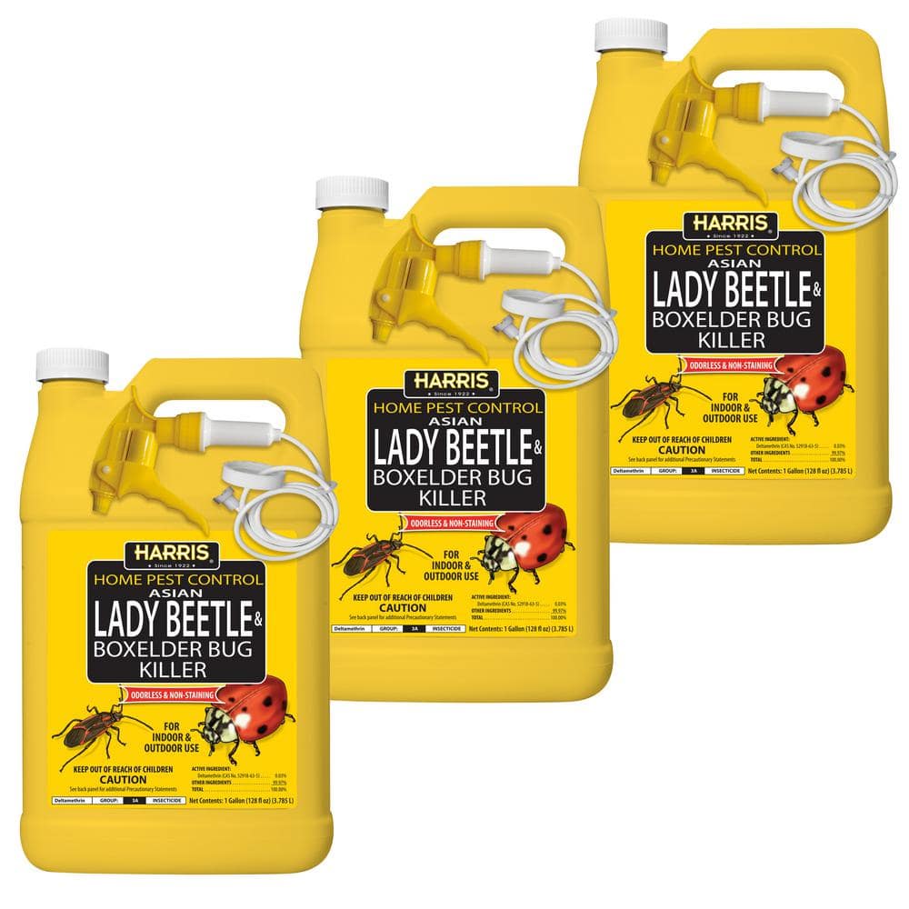 Harris 1 Gal. Asian Lady Beetle and Box Elder Bug Killer (3-Pack