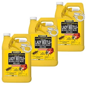 Harris 1 Gal. Asian Lady Beetle and Box Elder Bug Killer (3-Pack 